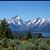 Deborah King Gill's profile image
