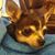 Joan Silver's profile image