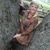 Gwen Whitley's profile image
