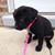 Michelle Shaver Aviles's profile image