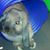 Cathie Jackson's profile image