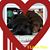 Christine Danielle Guriddi's profile image