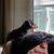 Mary Beth Reynolds-Tillotson's profile image