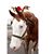 Carolyn Morse's profile image