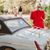 Emily Pegoda's profile image