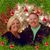 Jennifer Mosley Deatherage's profile image