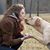 Adrienne Marie's profile image