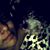 Carolina Montes's profile image