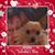 Roxana J Lord's profile image