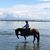 Nancy Carr-hilton's profile image