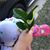 PDizz Le's profile image