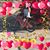 Cindi K Smith-Praster's profile image