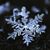 Kathy King's profile image