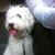 Mario Albertto C's profile image