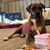 Dawn McCloskey Sieger's profile image