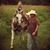 Larry Townsell's profile image