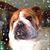 Jolynne Whitney's profile image