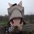 Chancey Rose's profile image