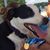 Cindie Howard Bollinger's profile image