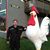 John Greaves's profile image