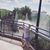 Brandi Graves McNeese's profile image