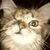 Barbara Nardone's profile image