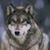 Daniel Morotti's profile image