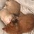 Beth Lorentz Beckel's profile image