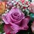 Angie Snyder-Smith's profile image