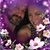 Angel Huff's profile image