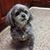 Adele Dessena's profile image