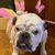 Lena Jo McCoy's profile image