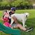Brian Erwin's profile image