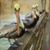 Chip Boutin's profile image
