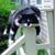 Arlene Tankersley's profile image