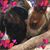 Judy Wyss's profile image