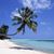 Mary Melanson's profile image