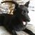 Gail Greenspan Edwards's profile image