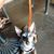Kathy Osting Kwiecinski's profile image