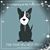 Carolyn Evans's profile image