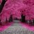 Patricia Pennington's profile image