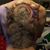 Rob Mortensen's profile image