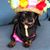 Lynda Wilson's profile image