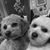 Karen Brahos's profile image