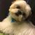 Conni Su Herrington's profile image