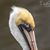 David Salters's profile image