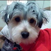 Stephie Lynn's profile image