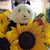 Juanita Marie Hendrick's profile image