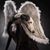 Dot Crabtree's profile image
