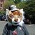 Deana Sharp's profile image